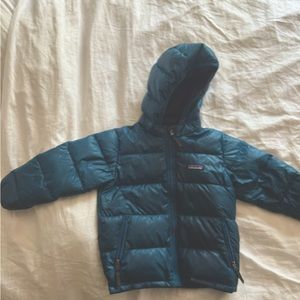 Patagonia high-loft hoody